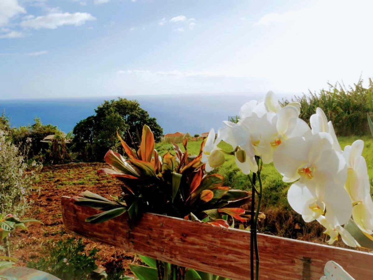 Casas Serenas Estreito Da Calheta Exterior photo